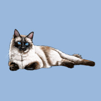 Siamese Premium Hoodie | Teevron