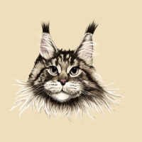Maine Coon Cat Face Premium Hoodie | Teevron