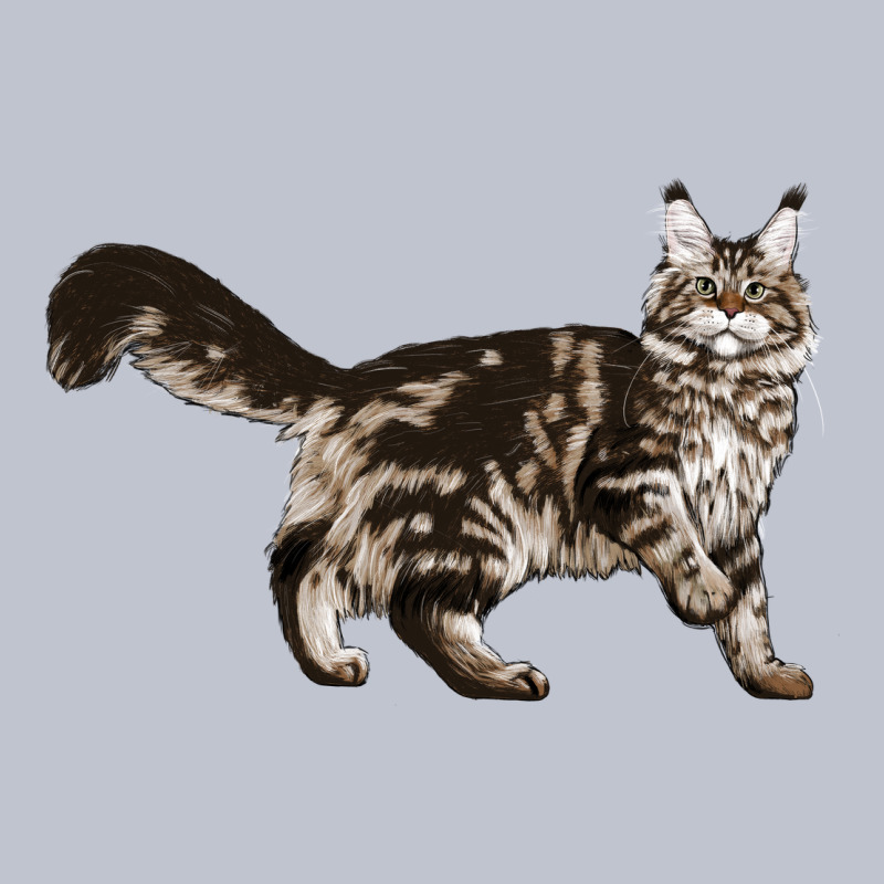 Maine Coon Cat Premium Hoodie by LillyAllenDesigns | Teevron