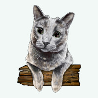 Russian Blue Cat Face Premium Hoodie | Teevron