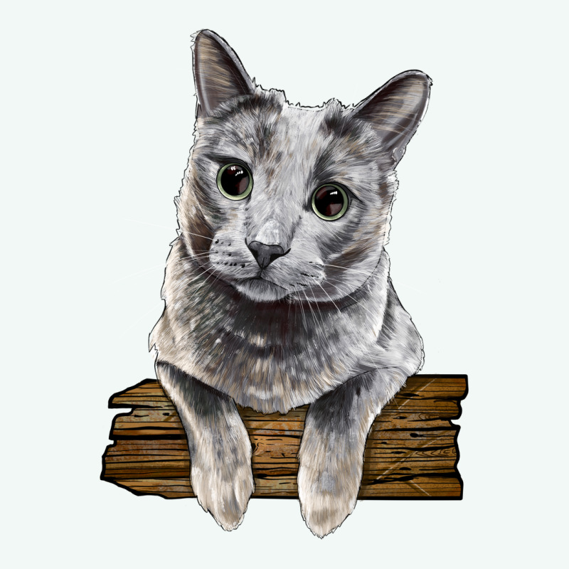 Russian Blue Cat Face Premium Hoodie by LillyAllenDesigns | Teevron