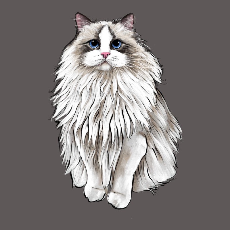 Ragdoll Cat Premium Hoodie by LillyAllenDesigns | Teevron