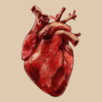 Anatomical Heart Classic Tee | Teevron