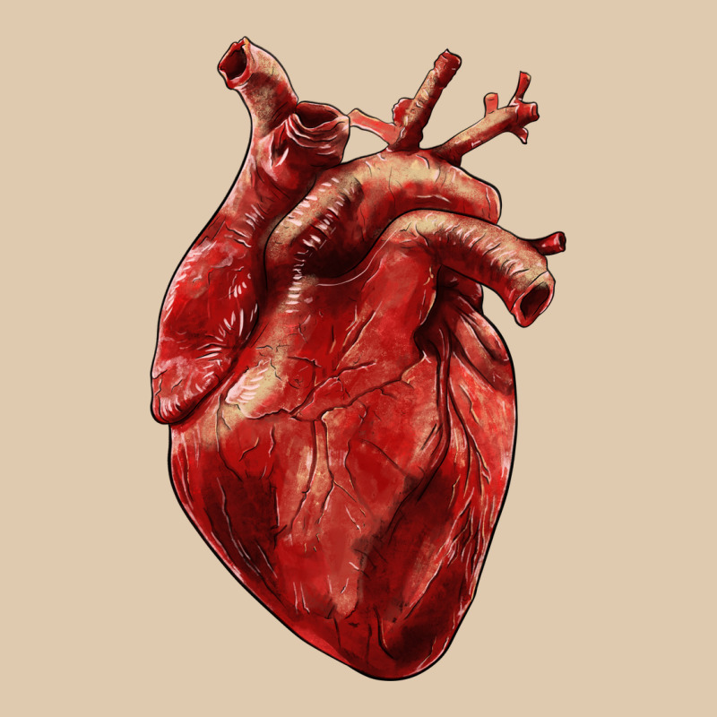 Anatomical Heart Classic Tee by RanaPortraitStore | Teevron