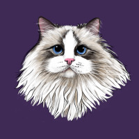 Ragdoll Face Cat Premium Hoodie | Teevron
