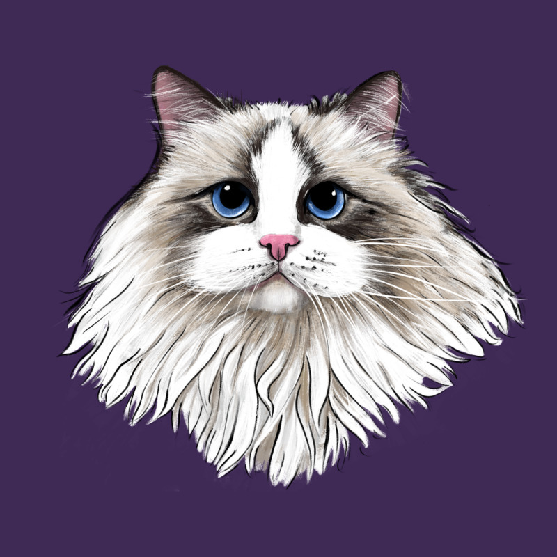 Ragdoll Face Cat Premium Hoodie by LillyAllenDesigns | Teevron