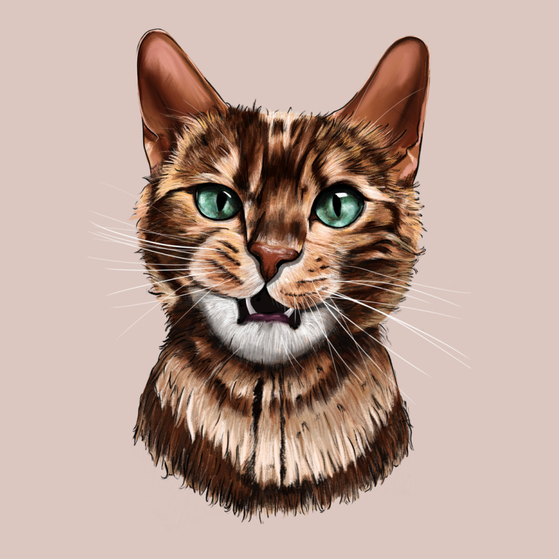 Bengal Cat Face Premium Hoodie by LillyAllenDesigns | Teevron