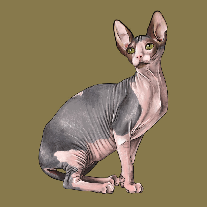 Sphynx Cat Premium Hoodie by LillyAllenDesigns | Teevron
