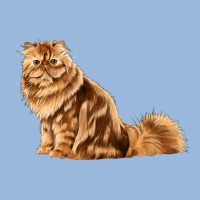 Persian Cat Premium Hoodie | Teevron