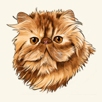 Persian Cat Face Premium Hoodie | Teevron