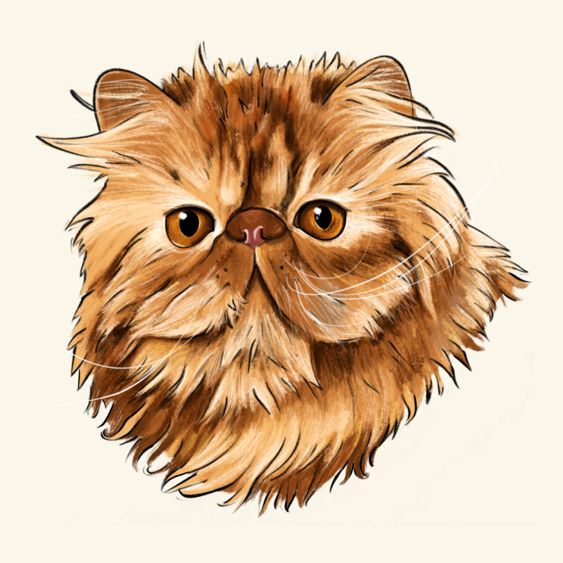 Persian Cat Face Premium Hoodie by LillyAllenDesigns | Teevron