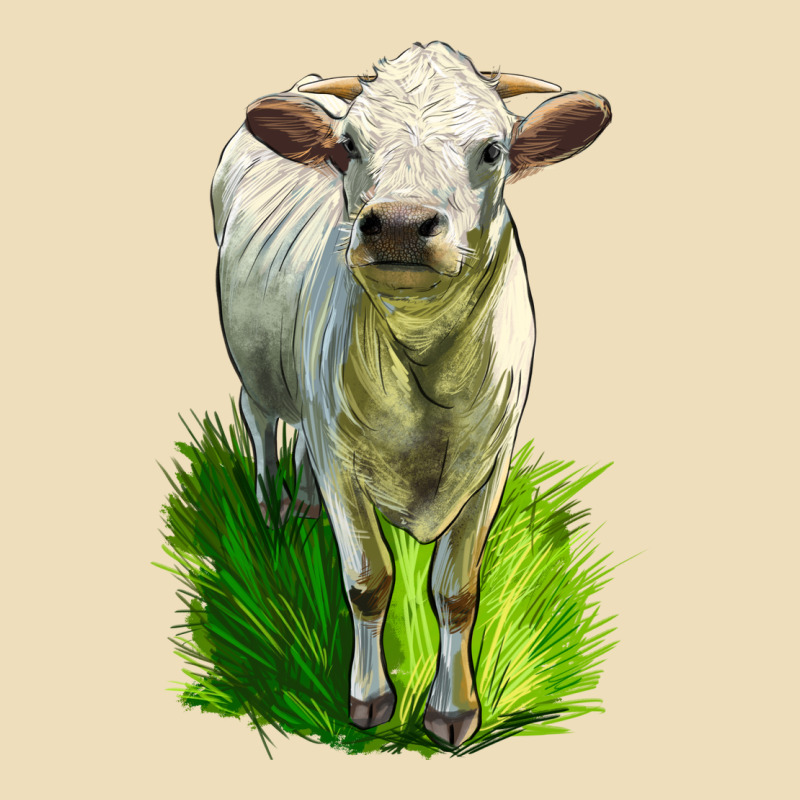 Charolais Heifer Premium Hoodie by LillyAllenDesigns | Teevron