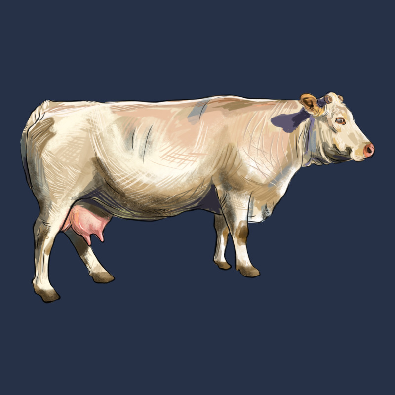 Charolais Cattle Premium Hoodie by LillyAllenDesigns | Teevron
