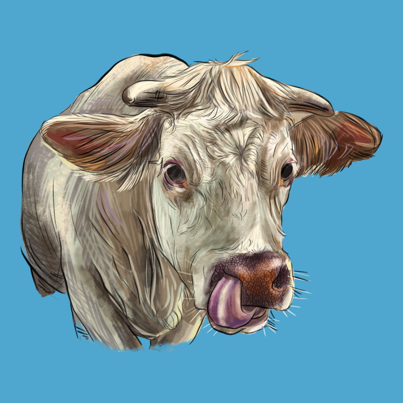 Charolais Cattle Face Premium Hoodie by LillyAllenDesigns | Teevron