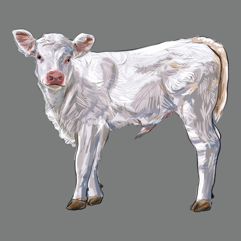 Charolais Calf Premium Hoodie by LillyAllenDesigns | Teevron