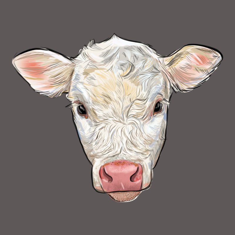 Charolais Calf Face Premium Hoodie by LillyAllenDesigns | Teevron