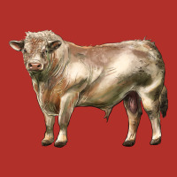 Charolais Bull Premium Hoodie | Teevron