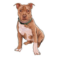 Brown Pitbull | Teevron