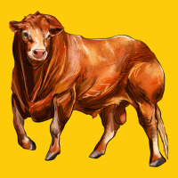 Red Angus Bull Premium Hoodie | Teevron
