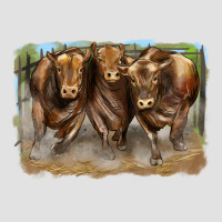 3 Red Angus Bulls Premium Hoodie | Teevron