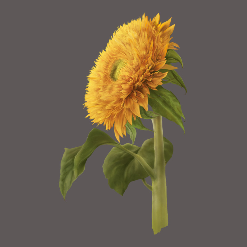 Teddy Bear Sunflower Premium Hoodie by LillyAllenDesigns | Teevron