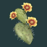 Opuntia Phaeacantha Premium Hoodie | Teevron