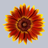Little Becka Sunflower Premium Hoodie | Teevron