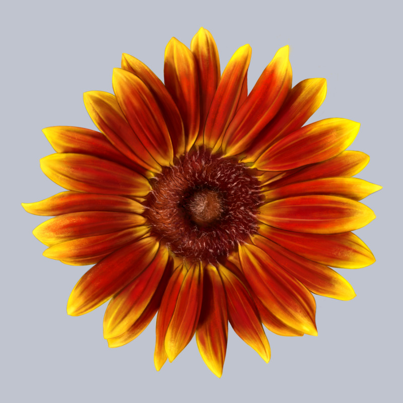Little Becka Sunflower Premium Hoodie by LillyAllenDesigns | Teevron
