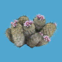 Cob Beehive Cactus Premium Hoodie | Teevron