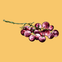 Red Grape Vintage Hoodie | Teevron