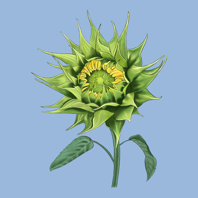 Sun Fill Green Green Sunflower Premium Hoodie by LillyAllenDesigns | Teevron
