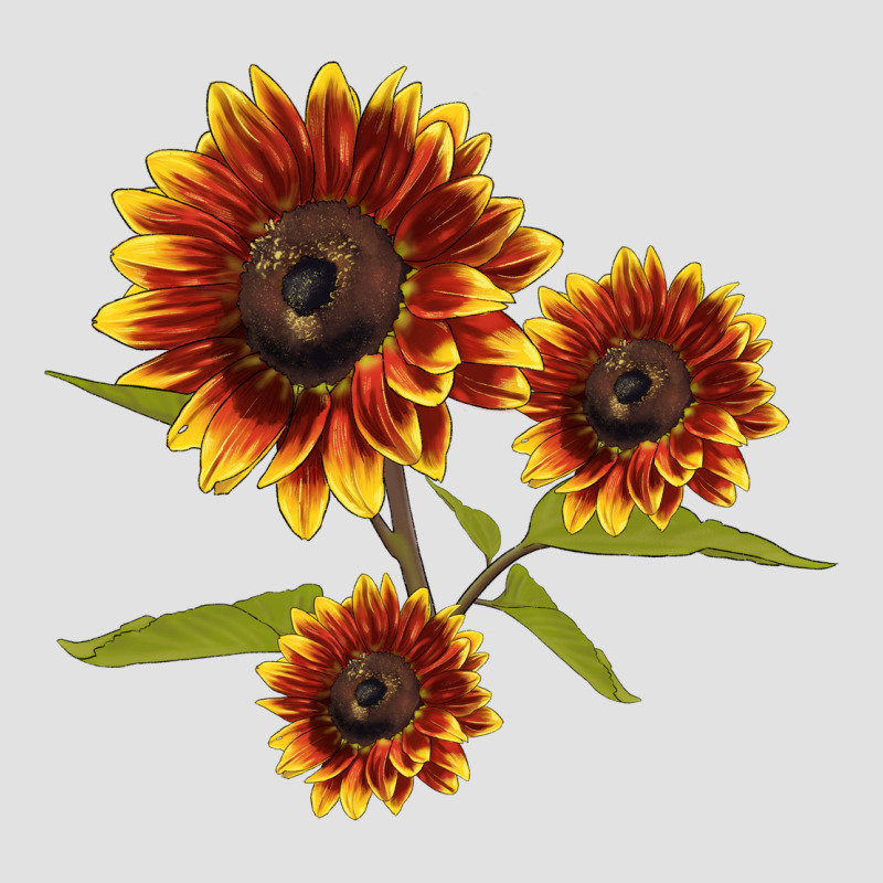 Ring O Fine Sunflower Premium Hoodie by LillyAllenDesigns | Teevron