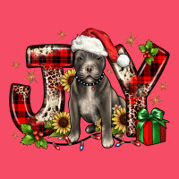 Christmas Joy Pitbull Premium Sweatshirt | Teevron