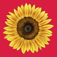 Giganteus Sunflower Premium Hoodie | Teevron