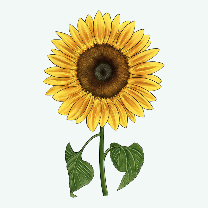 Giganteus Sunflower Premium Hoodie by LillyAllenDesigns | Teevron