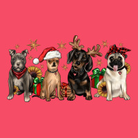 Christmas Chihuahua Pitbull Pug Dachshund Premium Sweatshirt | Teevron
