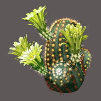 Nylon Hedgehog Cactus Premium Hoodie | Teevron