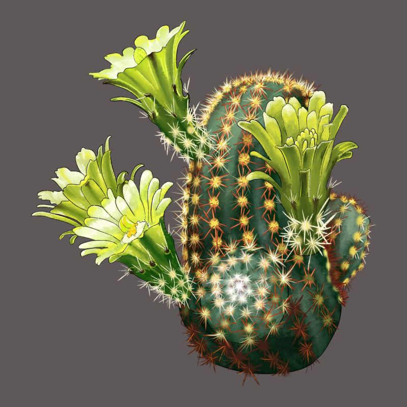 Nylon Hedgehog Cactus Premium Hoodie by LillyAllenDesigns | Teevron