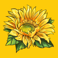 Starburst Greenburst Sunflower Premium Hoodie | Teevron