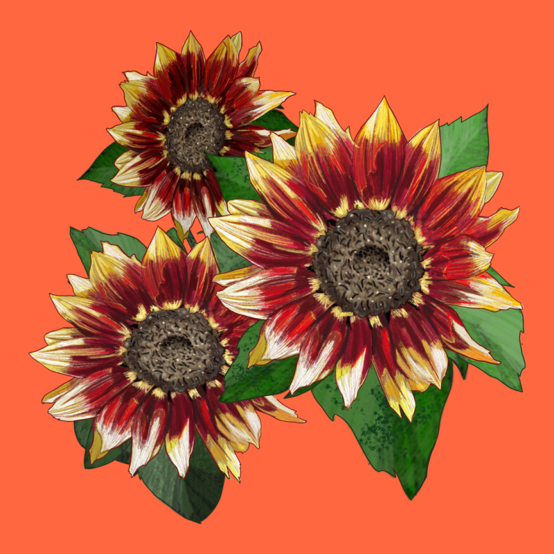 Florenza Sunflower Premium Hoodie by LillyAllenDesigns | Teevron