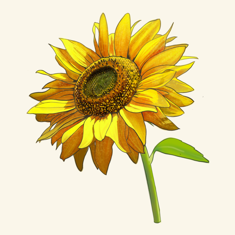 Sunflower Premium Hoodie by LillyAllenDesigns | Teevron