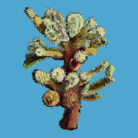 Cholla Tree Cactus Premium Hoodie | Teevron