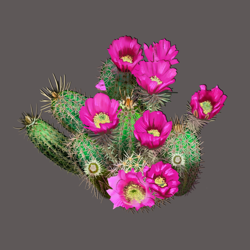 Strawberry Hedgehog Cactus Premium Hoodie by LillyAllenDesigns | Teevron