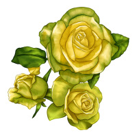 st. patrick rose | Teevron
