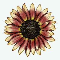 Strawberry Blonde Sunflower Premium Hoodie | Teevron