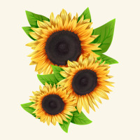 Treetops Sunflower Premium Hoodie | Teevron
