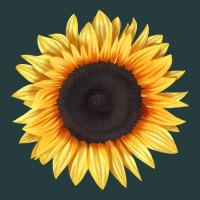 Treetops Sunflower Premium Hoodie | Teevron