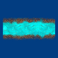 Turquoise Leopard Premium Sweatshirt | Teevron