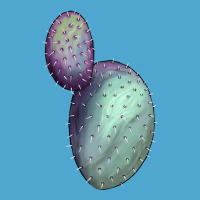 Opunthia Santa Rita Cactus Premium Hoodie | Teevron
