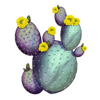 Opunthia Santa Rita Cacti | Teevron